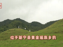 高山凉夏引爆亲子游，新宁黄金瑶族乡解锁避暑新玩法