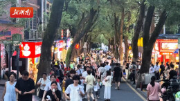 夏夜纳凉岳麓山