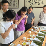 为茶叶开良方！茶叶专家助力岳阳夏秋茶提质增效