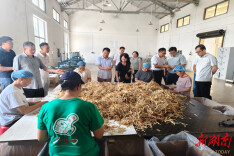校地携手赋能“药乡”产业升级——湖南中医药大学来溆浦开展中药材产业调研对接