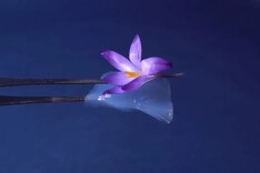 世界上最轻的固体：99% 是空气，却能隔绝千度高温！