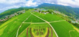 视频丨桂东：风吹稻香浓