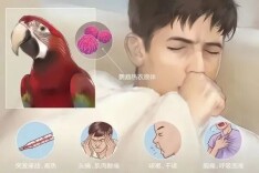 “鹦鹉热”你知道吗？湖南省疾控专家教你如何与萌宠相处