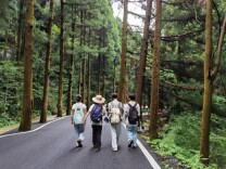 长理学子走进南岳衡山：让生态保护与文脉传承在脚步中延续