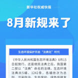 8月新规来了