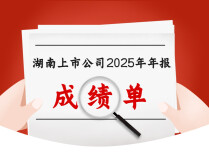 辛小湘 | 湖南上市公司“热力图”：谁在扛旗，谁在筑底