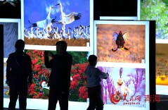 第四届中国野生动物摄影大展启幕