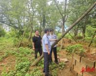 减免税费40万！湘潭县税务局精细服务激活乡村苗木产业