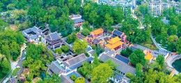 唐珍名：深刻把握习近平总书记对岳麓书院的“牵挂”