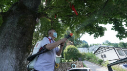 29载守护世界遗产林海！ 武陵源谢永华获评全国“十佳最美森林医生”