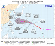关于“白海豚”到底登不登陆我国，这些真相需要了解