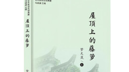叶林：藤萝的启示——读梦天岚诗集《屋顶上的藤萝》
