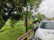 风雨中排险！湘潭交通执法人员拆除国道沿线非法广告牌