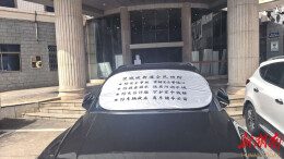 流动安全宣传岗上线！望城坡街道汽车遮阳板变身“四防”宣传载体