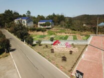 一名退役军人的乡村振兴路