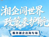党建赋能湘企出海 “三师”助企扬帆非洲