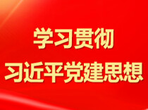 以坚定的理想信念筑牢精神根基——习近平党建思想理论品格系列述评之一