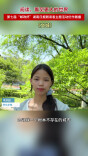 《文城》