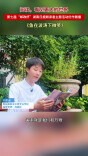 《鱼在波涛下微笑》