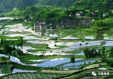 梨树垭村的“诗和远方”