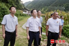 龚红果赴新宁县调研经济社会发展情况