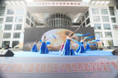 从“西进”到“北拓” 常德文旅以“动物王国”为先锋抱团深耕武汉