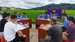 听证会开在田坎上，撂荒地翻起绿稻浪！靖州检察“修复性司法”唤醒沉睡良田