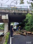 狂风断枝突袭高速公路 韶灌左干渠25分钟抢通双线