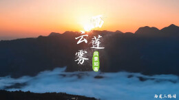 桑植白茶丨人潮溪镇三鹤园村：云海日出共绘茶山盛景