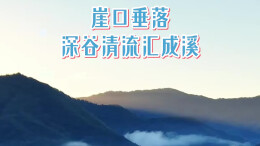 崖口垂落，深谷清流汇成溪丨湖南真美