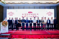 永州市中心医院在第七届国际NOSES手术视频大赛斩获佳绩