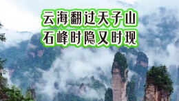 云海翻过天子山，石峰时隐又时现丨湖南真美