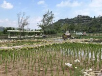 “搭”上青春小店，这种创业正被年轻人狠狠圈粉