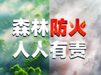 新田县扎实备战秋冬森林防灭火工作