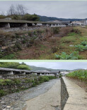巡察组进村后：臭水沟变清了，烂泥塘修好了，亏本基地赚钱了