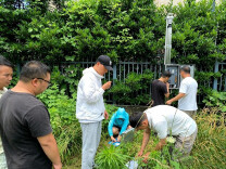 烈日下的担当：湖南省长沙生态环境监测中心高温下的监测工作纪实