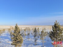 童年的雪