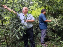 新邵：干群巡山林 留住深山“活化石”