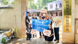 关爱流浪伙伴，点亮生命微光——湖南大学MBA志愿者赴流浪动物救助站开展主题公益活动