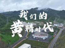 新晃70·正青春⑩ | 特色产业篇：我们的“黄精时代”