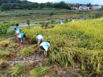 深耕校地帮扶 心系青年成长 隆友喜督导木铎村“三下乡”赋能乡村振兴