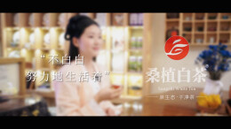 桑植白茶｜一盏白茶知至味，闲坐清风享悠然，在盏盏清欢里与自己和解