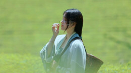 桑植白茶丨一口山野清欢，慢品俗世温柔