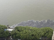 暴雨天河道流出“黑水”就是排污？一文分清排渍与排污，消除你的误会