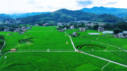 桂东：创意稻田“画”风景 农旅融合“钱”景宽