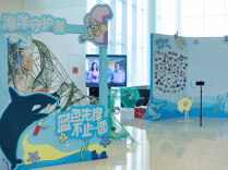 从北京到长沙，她把环保“小事”做成创业“大事”