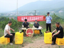 赓续“青山精神”血脉 绘就法治助农新“枫”景——临澧县人民法院四新岗法庭服务乡村振兴纪实
