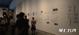 “迴立向湘江”大展火热进行中 “齐白石与徐悲鸿”展区成热门打卡点