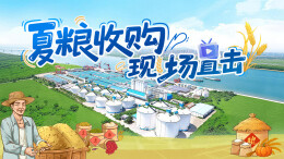 直播｜夏粮收购现场直击