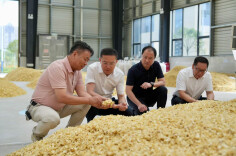 龚红果到隆回县调研经济社会发展情况